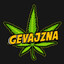 Gevajzna.cfg