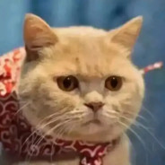 遇见蛋蛋的森破