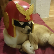 CaptainDogeHimself (RIP Doge)