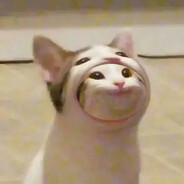 江南第一自由人