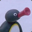 NOOT NOOT