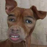 kaffu