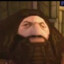 PS1_Hagrid