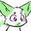 WolfyInfection