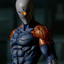 Gray Fox