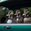 72 Very Handsome Ducks In A Car