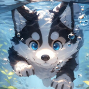 快乐小狗呼呼大睡