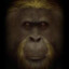 The Monkey King's avatar