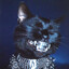 Nekomancer