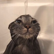 fa pepe - steam id 76561198766822670