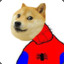 Spoder Doge