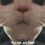 billiboba