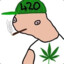 ^ferN^
