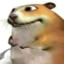 niewiem