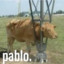 Pablo