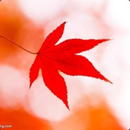 红叶