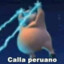 PitiCasla