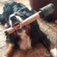 Demolition Dog