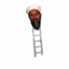 Osama Bin ladder