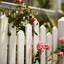 Onlyfence