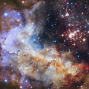 一位讲武德的年轻人