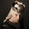 REVERENDO-
