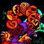 Jib_Loger