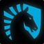 TEAM LIQUID