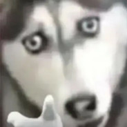 女孩怎么能守得住B呢