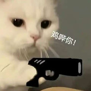 伯乐见了都说好马