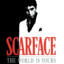 Scarface1312