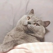 放下长枪圣如佛