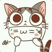 yellow braise chicken