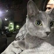 Jér?me "Niko" Sudries