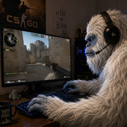 Yeti