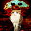 SQUEEGMA!!!!!1