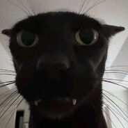 heiseeq