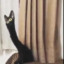 Bagdad
