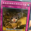 Frisk喵