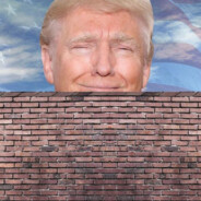 Bricked Up Trump