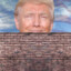 Bricked Up Trump