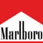 Marlboro Rot