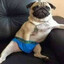 compal de batata