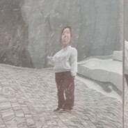 我看到了风的颜色