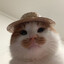 KT