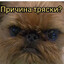 причина тряски?'s avatar