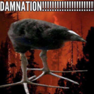 DAMNATION!!!!!!