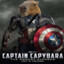 Cpt. Capybara