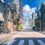 圣光庇护