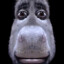 SamCarl